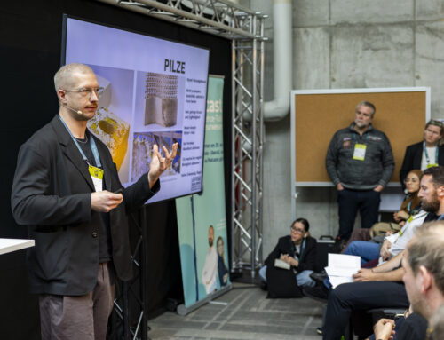 Mit der Natur wachsen – Bauen mit nachwachsenden Rohstoffen wie Holz, Hanf oder Stroh