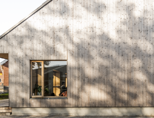 Konstruieren mit Hanf, Schilf oder Myzel: Open-Source-Plattform für biogenes Bauen