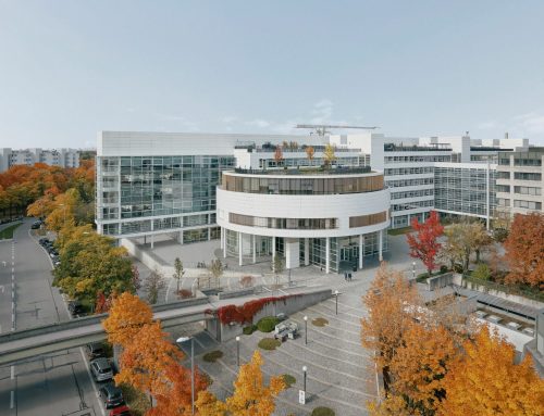 Revitalisierung mit Holz: Umbau einer Bürogroßstruktur in München von Oliv Architekten