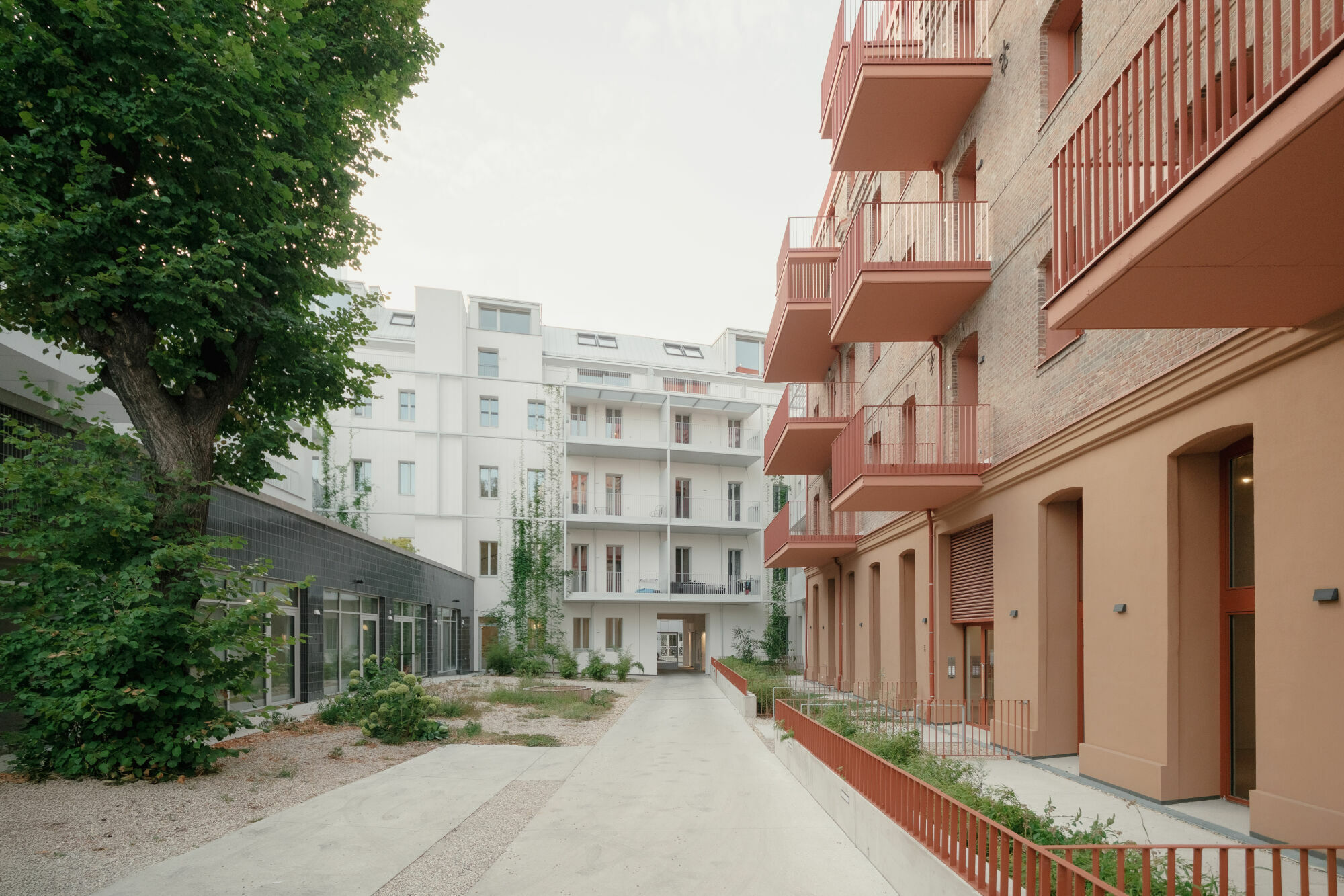 Foto: Patrick Johannsen