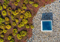 Foto: Berliner Regenwasseragentur, Silke Reents