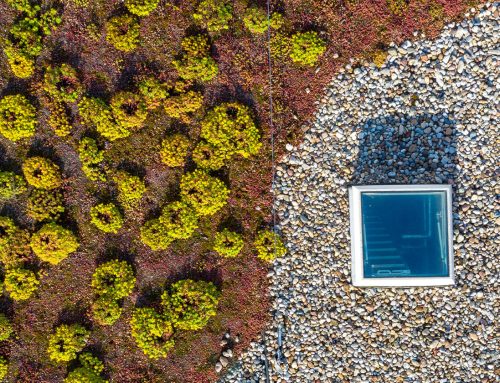 Treffpunkt Bauwende: Ausstellung und Fachdialoge zum Thema „Blau-Grünes Bauen“ in Berlin