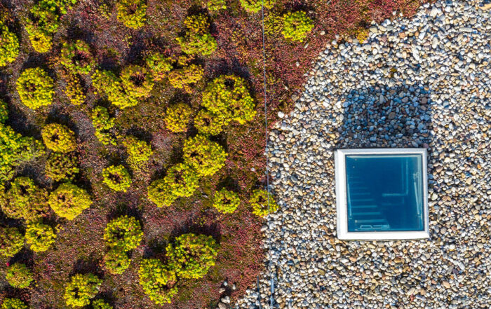 Foto: Berliner Regenwasseragentur, Silke Reents