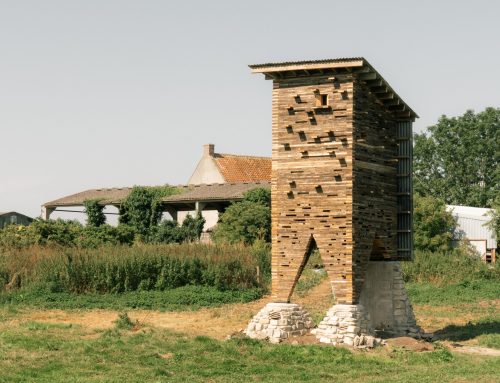 Infrastruktur für nichtmenschliche Spezies: Wildtierturm in Somerset von PEARCE+
